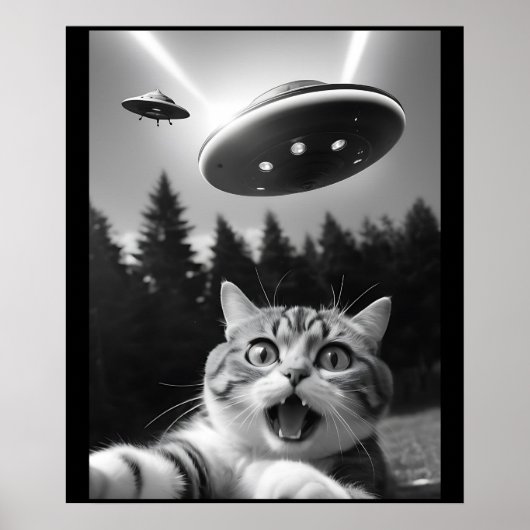 宇宙人と写った猫の自撮り面白写真 ポスター (正面)