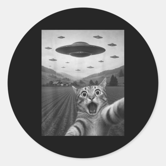 宇宙人に驚く猫の自撮り エド・キャット UFO ラウンドシール (正面)
