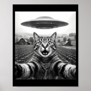 宇宙人 UFO に猫が写った自撮り ポスター