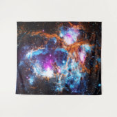 宇宙冬の大 タペストリー (正面(横))