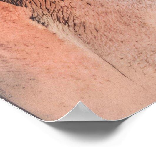 宇宙変容 ポスター (角)