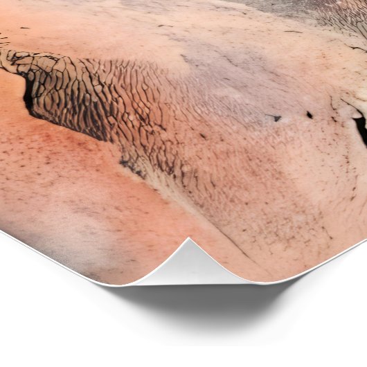 宇宙変容 ポスター (コーナー)