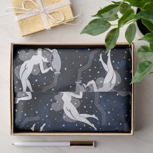 宇宙女性に耐えるアクエリアスの(占星術の)十二宮図水 薄葉紙 (ギフト)