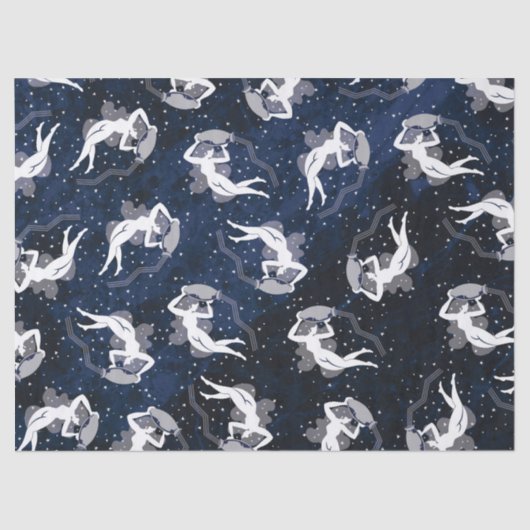 宇宙女性に耐えるアクエリアスの(占星術の)十二宮図水 薄葉紙 (正面)