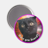 宇宙子猫バクラシックディ丸ステッカー マグネット (正面/裏面)
