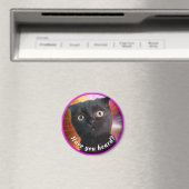 宇宙子猫バクラシックディ丸ステッカー マグネット (インサイチュ (食洗機))