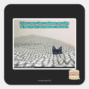 宇宙時間連続 スクエアシール