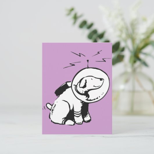 宇宙犬 ポストカード (スタンド正面)