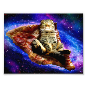 宇宙猫がピザの上に寝ている フォトプリント