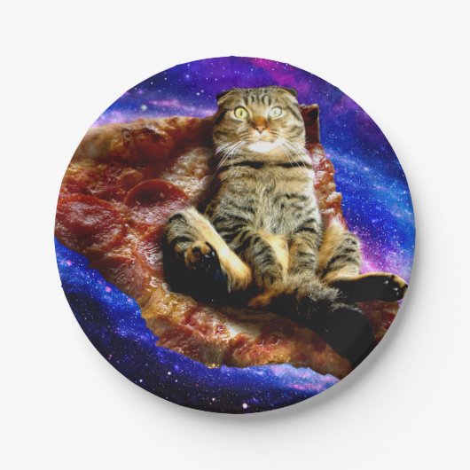 宇宙猫がピザの上に寝ている ペーパープレート (正面)