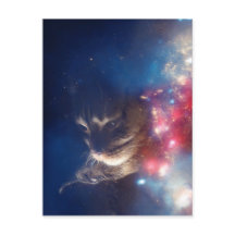 宇宙猫の銀河系
