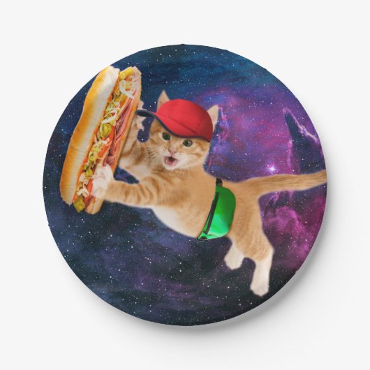 宇宙猫キャップとファニーパック ペーパープレート (正面)