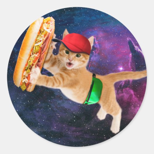 宇宙猫キャップとファニーパック ラウンドシール (正面)