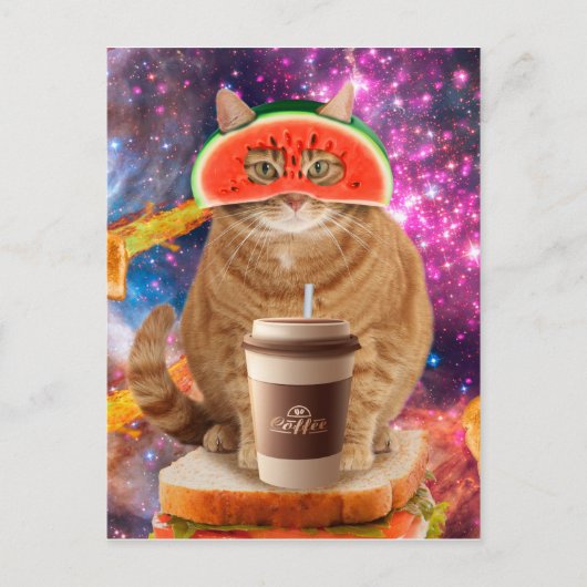 宇宙猫スイカめがね ポストカード (正面)