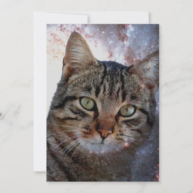宇宙猫 (正面)