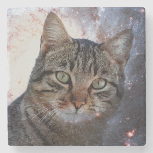 宇宙猫 ストーンコースター (正面)