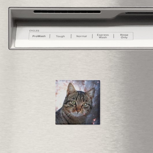 宇宙猫 マグネット (インサイチュ (食洗機))