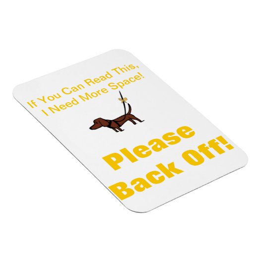 宇宙磁石 マグネット (右側)