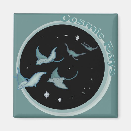 宇宙線 マグネット (正面)