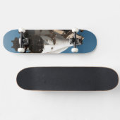 宇宙船ロシアのボストク スケートボード (横)