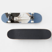 宇宙船ロシアのボストク スケートボード (横)