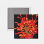 宇宙花磁石 マグネット (正面/裏面)