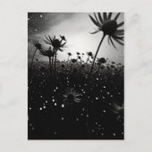 宇宙花 ポストカード (正面)