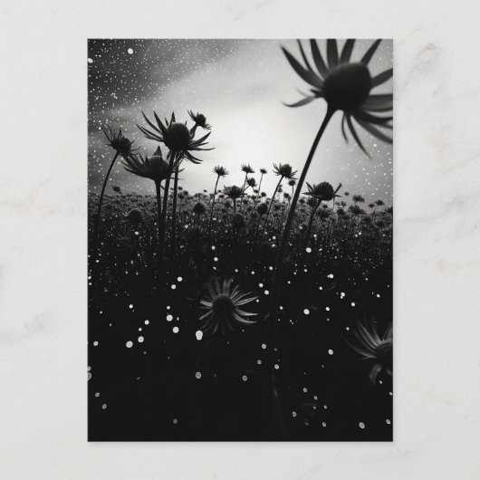 宇宙花 ポストカード (正面)