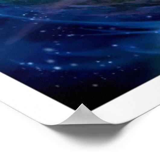 宇宙芽球 ポスター (角)