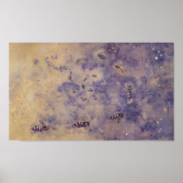 宇宙蜂のポスター ポスター