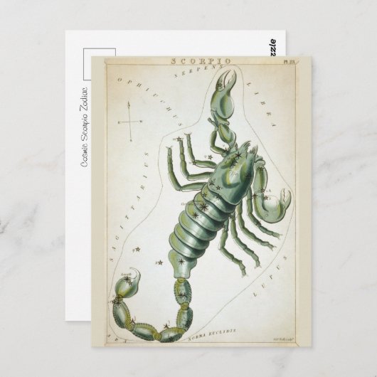 宇宙蠍座〔占星術の〕十二宮図 ポストカード (正面/裏面)