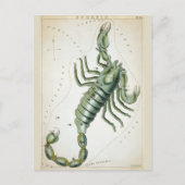 宇宙蠍座〔占星術の〕十二宮図 ポストカード (正面)