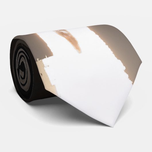 宇宙起動システムの起動時間 ネクタイ (ロール)