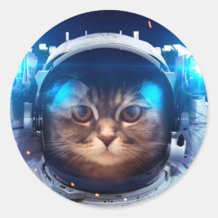 宇宙飛行士の猫は地球の上に浮く ラウンドシール