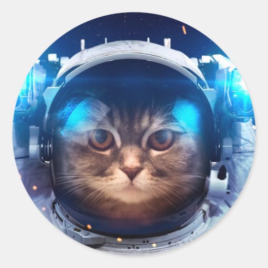 宇宙飛行士の猫は地球の上に浮く ラウンドシール (正面)