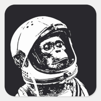 宇宙飛行士モンキー スクエアシール