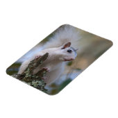 宇宙飛行士リス マグネット (左側)