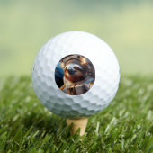 宇宙飛行士 ゴルフボール (インサイチュ 木)