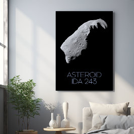 宇宙、システ太陽のム、小惑星帯、IDA 243 メタルプリント