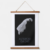 宇宙、システ太陽のム、小惑星帯、IDA 243 吊り下げ型タペストリー (正面)