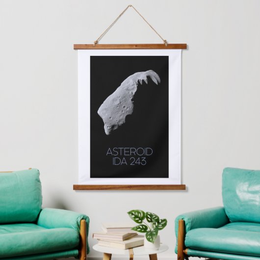 宇宙、システ太陽のム、小惑星帯、IDA 243 吊り下げ型タペストリー (リビング)