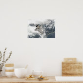 宇宙・シャトル・ディスカバリーの下面 ポスター (キッチン)