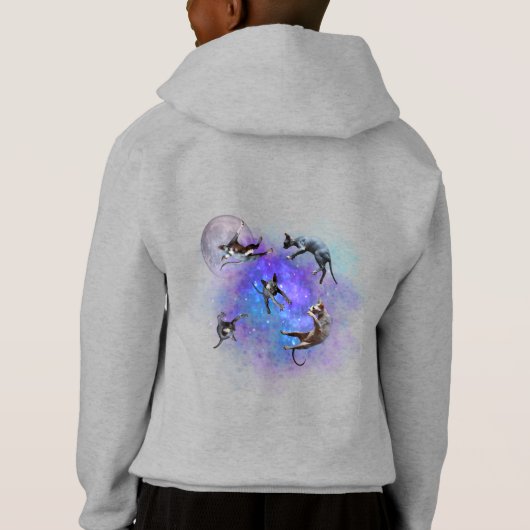 宇宙・スフィンクスの猫が銀河系おもしろい・ボーイに浮かぶ (裏面)