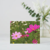 宇宙 ポストカード (スタンド正面)