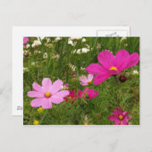 宇宙 ポストカード (正面/裏面)