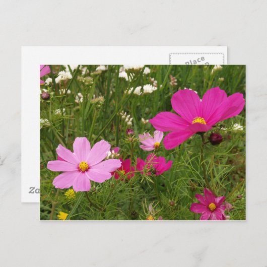 宇宙 ポストカード (正面/裏面)