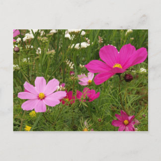 宇宙 ポストカード