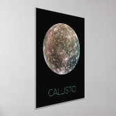 宇宙、宇宙、システ太陽のム、ムーンカリスト 箔ポスター (レイダウン)