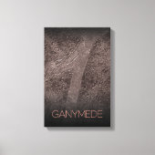 宇宙、宇宙、システ太陽のム、ムーンゲニメデ キャンバスプリント (正面)
