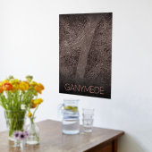 宇宙、宇宙、システ太陽のム、ムーンゲニメデ 箔ポスター (レイダウン (キッチン))